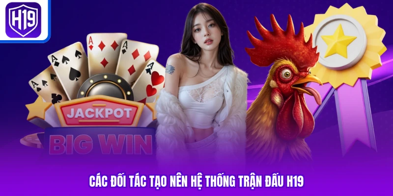 Các đối tác tạo nên hệ thống trận đấu H19