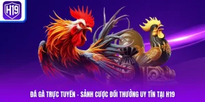 Đá Gà Trực Tuyến - Sảnh Cược Đổi Thưởng Uy Tín Tại H19