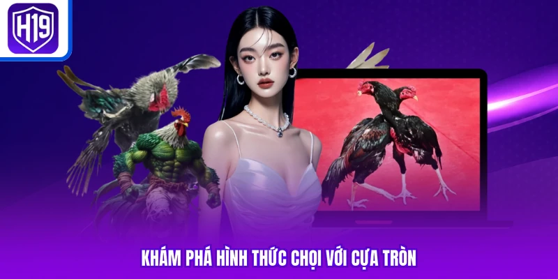 Khám phá hình thức chọi với cựa tròn