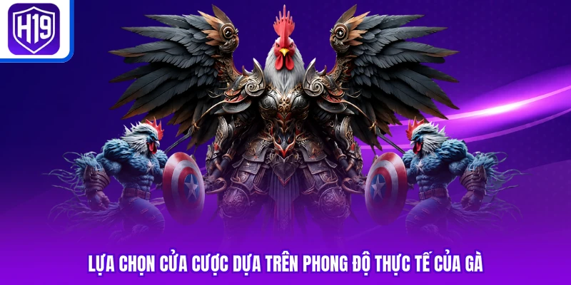 Lựa chọn cửa cược dựa trên phong độ thực tế của gà