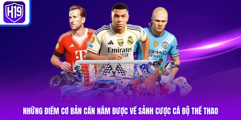 Những điểm cơ bản cần nắm được về sảnh cược cá độ thể thao