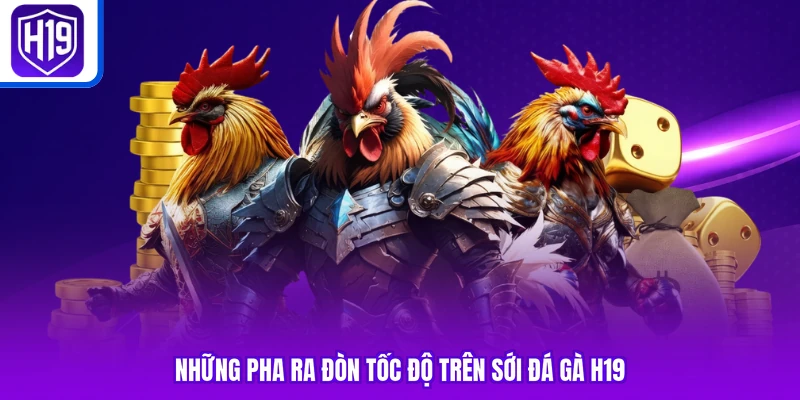 Những pha ra đòn tốc độ trên sới đá gà H19