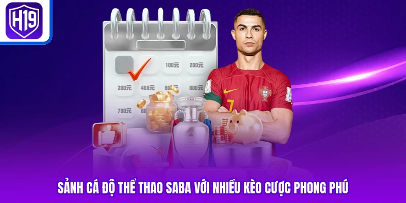 Sảnh cá độ thể thao SABA với nhiều kèo cược phong phú